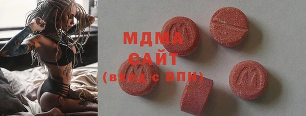 индика Алексин
