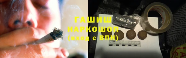 прущие грибы Абаза