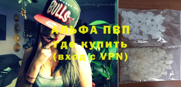 прущие грибы Абаза