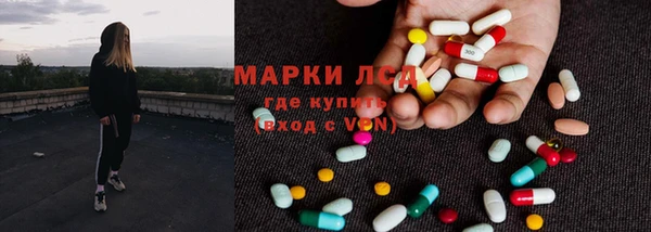 прущие грибы Абаза