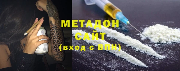 прущие грибы Абаза
