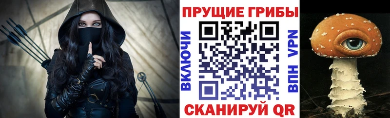Псилоцибиновые грибы мухоморы  как найти   Энгельс 
